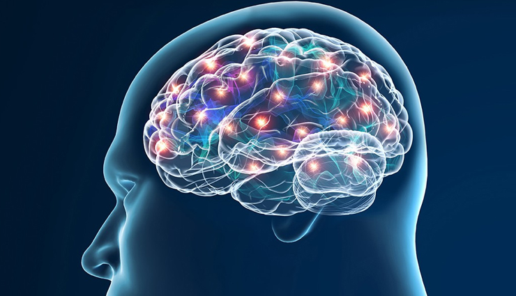 kalamata olives,greek olives,mediterranean diet,olive varieties,black olives,brine-cured olives,Olive Oil,antioxidants,healthy fats,omega-3 fatty acids,heart health,anti-inflammatory,cancer prevention,brain health,immune system,digestive health,nutrients,vitamin e,iron,calcium,magnesium,potassium,fiber,polyphenols,vegan food,gluten-free food,gourmet food,appetizers,salads,pizza toppings