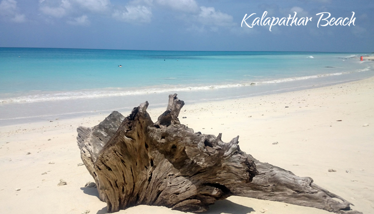 havelock island,places to explore in havelock island,beautiful places,tourist places in havelock island,travel,travel guide,travel tips