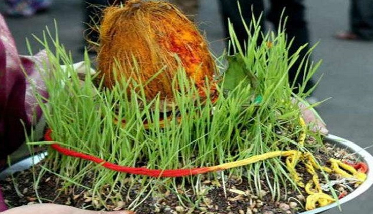 Navratri 2021 : जौ के माध्यम से भविष्य का संकेत देती है देवी मां, जानें क्या कहता हैं इनका रंग astrology tips,astrology tips in hindi,navratri special,navratri 2021