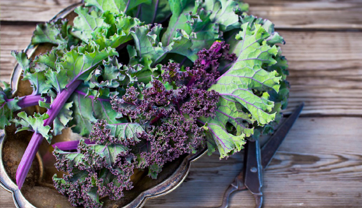kale,kale health benefits,health benefits of kale,kale  good for health,healthy food kale,how kale is good for health,Health,Health tips