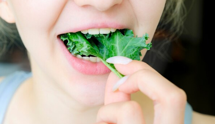 kale,health benefits of kale,kale healthy food,healthy living kale,kale benefits,health news,healthy living