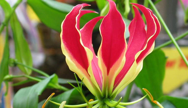 skin-friendly home remedies for removing stuck-on substances,natural methods to remove sticky substances from skin,diy remedies to get rid of stuck-on residues from skin,gentle home treatments for removing substances stuck on skin,effective ways to remove sticky residue from skin at home,homemade solutions for cleaning substances stuck on skin,quick home fixes for removing sticky substances from skin,safe methods to remove stuck-on materials from skin,tips for removing adhesive residues from skin naturally,home hacks for getting rid of substances stuck on skin