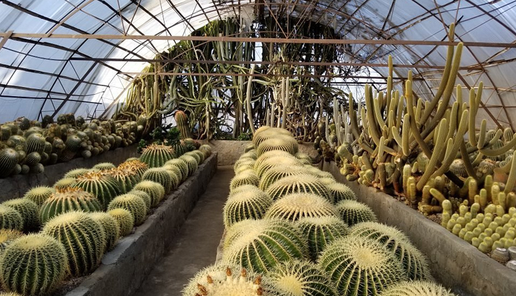 kalimpong,places to visit inkalimpong,tourist attraction in kalimpong,deolo hill,morgan house,zong dong palri fo brang gompa,crockety,pine view nursery,kalimpong science centre