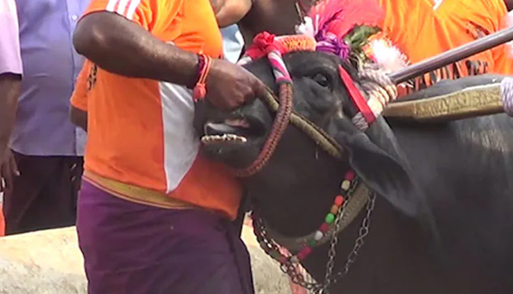 दुनियाभर में खेले जाते हैं ये अजीबो-गरीब खेल, आपको हैरान कर देगी यह जानकारी weird games around the world,unusual sports played globally,bizarre games from different cultures,strange and unique games worldwide,odd sports and competitions across the globe,quirky games played in different countries,unconventional sports events around the world,extraordinary games from various cultures,curious and unusual games played internationally,surprising and peculiar sports worldwide