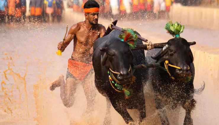 bizarre traditions in india,unique indian rituals,unconventional customs in india,astonishing indian traditions,offbeat cultural practices,strange rituals in indian culture,intriguing indian ceremonies,quirky traditions to explore,exceptional cultural events in india,unusual festivals and rituals