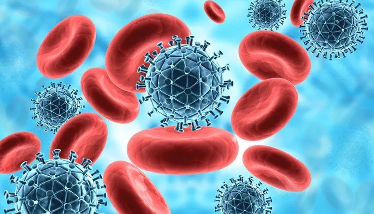 kamut,health benefits of kamut,Health tips,fitness tips