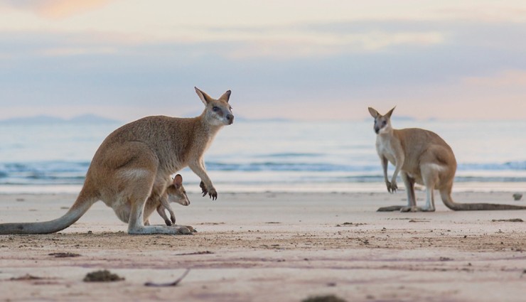 travel,travel guide,travel tips,holidays,travel experience,holidays