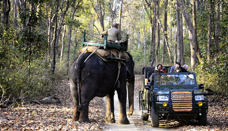 kanha national park,things to enjoy in kanha national park,activities to do in kanha national park