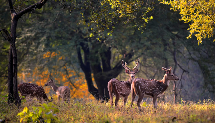 5 must see places of jabalpur,major attractions of jabalpur,madhya pradesh,tourist places in jabalpur,tourism holidays,travel