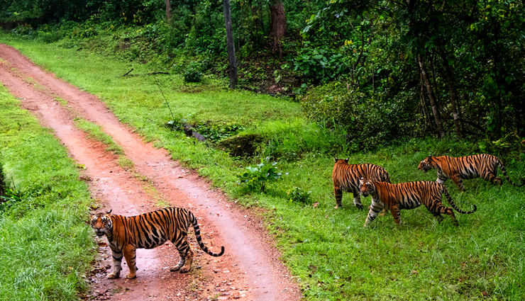 national parks of the country to see extinct animals,holidays,travel,tourism