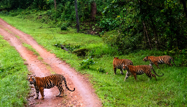 madhya pradesh,tourist destinations in madhya pradesh,places to visit in madhya pradesh,holidays in madhya pradesh,india tourism