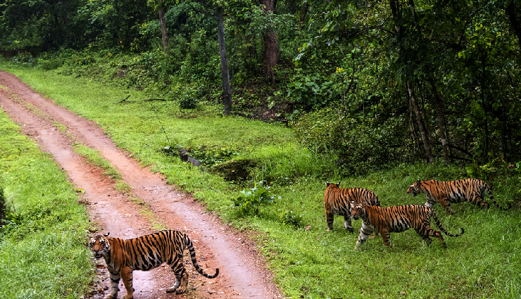 madhya pradesh tourist attractions,places to visit in madhya pradesh,best spots in madhya pradesh,madhya pradesh sightseeing locations,top destinations in madhya pradesh,madhya pradesh scenic spots,madhya pradesh travel attractions,must-visit places in madhya pradesh,madhya pradesh famous landmarks,madhya pradesh tourist hotspots,madhya pradesh hidden gems,serene spots in madhya pradesh,madhya pradesh picturesque locations,madhya pradesh natural wonders,madhya pradesh stunning landscapes,madhya pradesh historical landmarks,madhya pradesh cultural attractions,scenic vistas in madhya pradesh,madhya pradesh iconic destinations,unmissable places in madhya pradesh