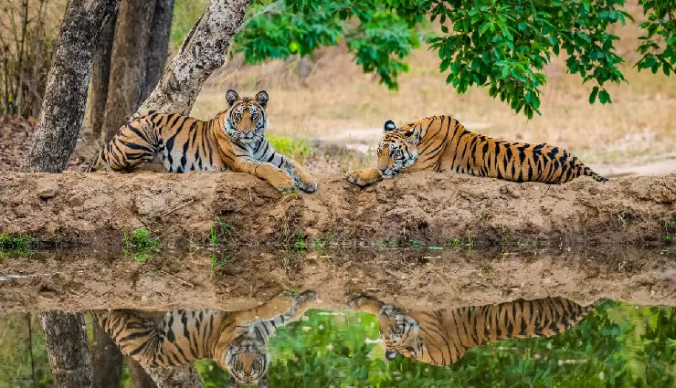 madhya pradesh tourism,places to visit in madhya pradesh october 2025,best time to visit madhya pradesh,madhya pradesh unesco sites,madhya pradesh tiger reserves,waterfalls in madhya pradesh,madhya pradesh temples,madhya pradesh festivals,dussehra in madhya pradesh,diwali celebrations madhya pradesh,travel guide madhya pradesh october