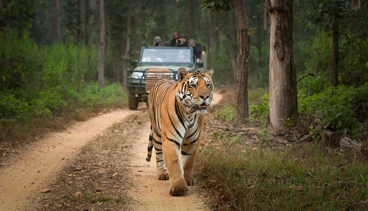 kanha national park,about kanha national park,travel,holidays,travel tips
