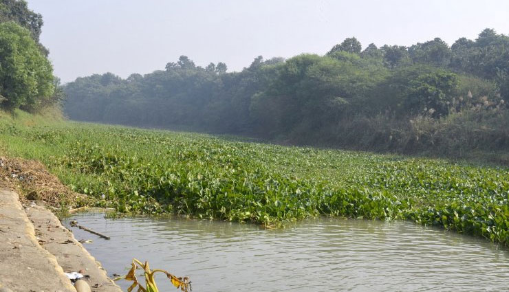 kapurthala is famous for,kapurthala district,kapurthala punjab,shalimar garden kapurthala,kapurthala punjab upcoming events,kapurthala is famous for rail coach factory,moorish mosque,holidays,travel,tourism