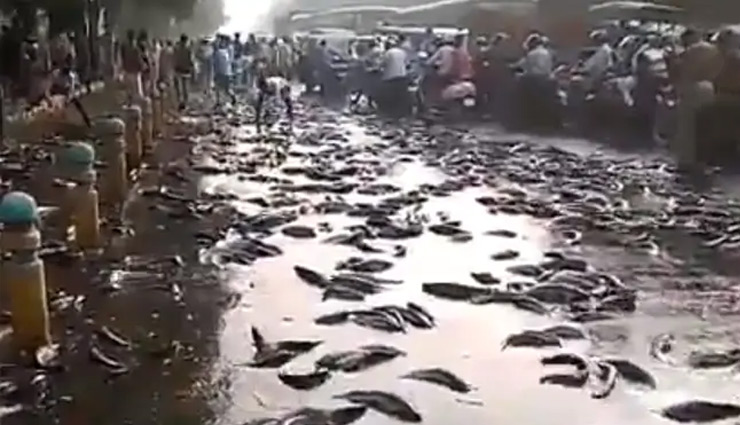 कानपुर की सड़क पर दिखा अजब-गजब  नजारा, आम आदमी के साथ-साथ पुलिस भी लगी मछलियां बटोरने, वीडियो वायरल 