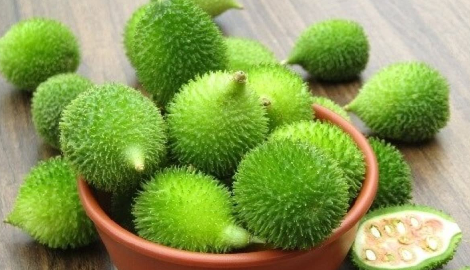 kantola or kakora ki sabji,kantola or kakora ki sabji ingredients,kantola or kakora ki sabji recipe,kantola or kakora ki sabji healthy,kantola or kakora ki sabji tasty,kantola or kakora ki sabji special dish,kantola or kakora ki sabji delicious