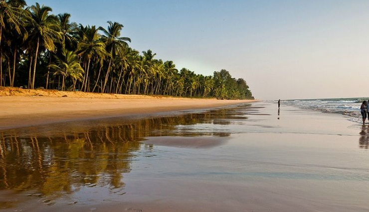 kerala tourist places,places to visit in kerala,kerala places,beautiful places in kerala,most beautiful places in kerala,kerala trip,kerala destinations,tourist spots in kerala,top tourist places in kerala,places to see in kerala,must visit places in kerala,kerala tourist,kerala travel,tourist attractions in kerala,kerala visit,places to go in kerala,beautiful tourist places in kerala,top places in kerala,top 5 tourist places in kerala