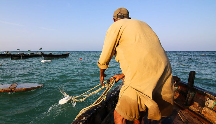 दो मछलियों ने बनाया मछुआरे को मालामाल, लाखों में लगी बोली