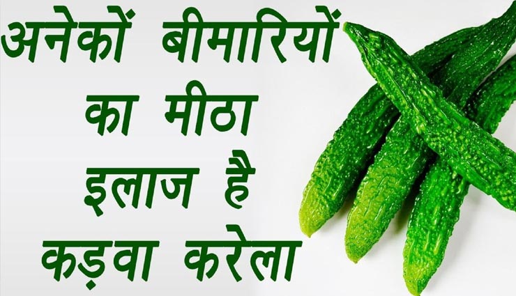करेला बनता हैं बिमारियों का काल, रोजाना करें सेवन