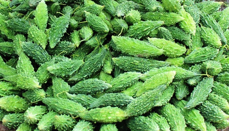 6 healthy benefits of eating bitter guard,healthy benefits in hindi,eating benefits of karela,karele ke fayde,bitter guard benefits