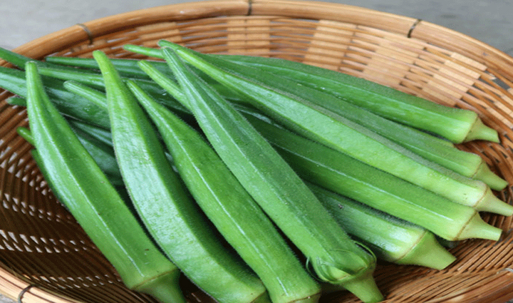 फायदेमंद करेला भी पहुंचा सकता हैं सेहत को नुकसान, ना करें इन चीजों के साथ सेवन bitter gourd health warnings,risks of consuming bitter gourd,bitter gourd side effects,dangers of pairing bitter gourd,health hazards of bitter melon,negative effects of bitter gourd consumption,bitter gourd precautions,things to avoid with bitter gourd,adverse interactions with bitter gourd,bitter gourd safety tips,bitter gourd contraindications,harmful combinations with bitter gourd,bitter gourd and health concerns,bitter gourd precautions and warnings,bitter gourd consumption risks,safe ways to eat bitter gourd,cautionary notes on bitter gourd,bitter gourd and potential harm,health issues with bitter gourd intake,best practices for bitter gourd consumption