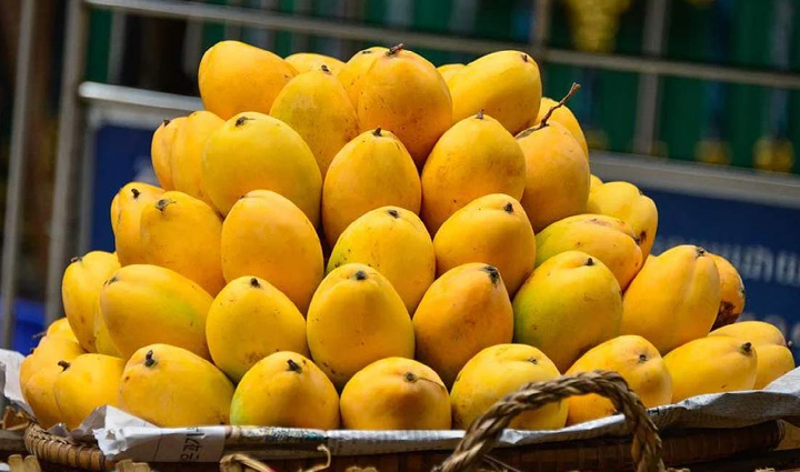 फायदेमंद करेला भी पहुंचा सकता हैं सेहत को नुकसान, ना करें इन चीजों के साथ सेवन bitter gourd health warnings,risks of consuming bitter gourd,bitter gourd side effects,dangers of pairing bitter gourd,health hazards of bitter melon,negative effects of bitter gourd consumption,bitter gourd precautions,things to avoid with bitter gourd,adverse interactions with bitter gourd,bitter gourd safety tips,bitter gourd contraindications,harmful combinations with bitter gourd,bitter gourd and health concerns,bitter gourd precautions and warnings,bitter gourd consumption risks,safe ways to eat bitter gourd,cautionary notes on bitter gourd,bitter gourd and potential harm,health issues with bitter gourd intake,best practices for bitter gourd consumption