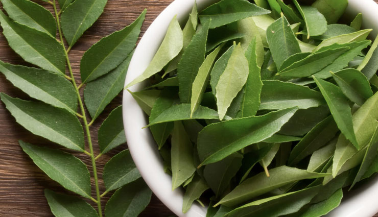 खाने के जायके के साथ-साथ आपकी सेहत का भी ख्याल रखता है करी पत्ता, जाने इसके सेवन के फायदे