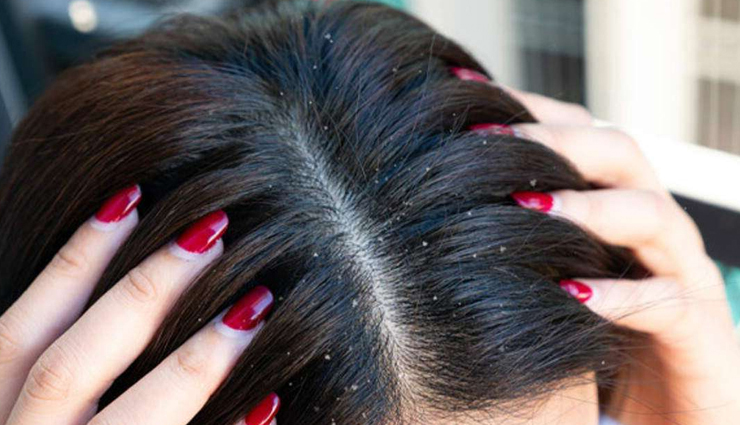 along with increasing hair growth,curry leaves are very beneficial for hair,beauty tips,beauty hacks,beauty news in hindi