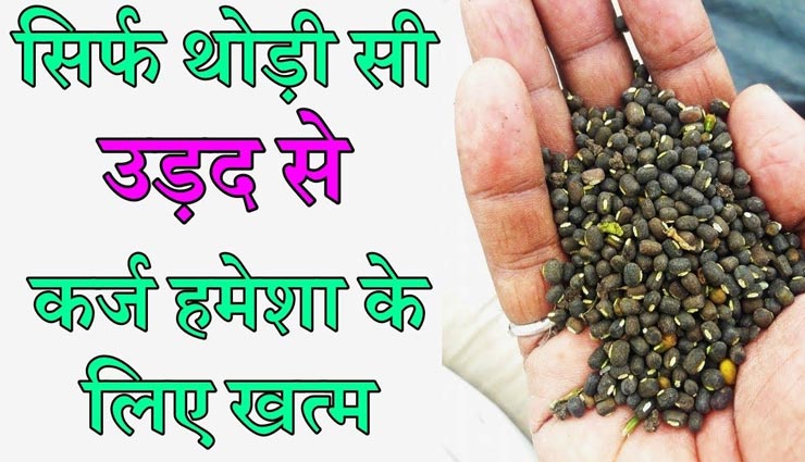 astrology tips,astrology tips in hindi,urad dal measures