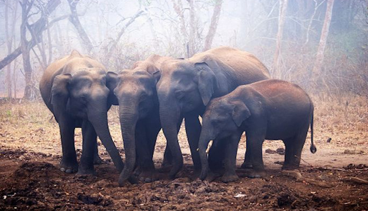 karnataka tourist attractions,must-visit places in karnataka,top destinations in karnataka,karnataka travel guide,best places to visit in karnataka,karnataka sightseeing spots,karnataka tourism highlights,famous attractions in karnataka,karnataka travel itinerary,karnataka bucket list destinations,karnataka travel experiences,karnataka tourist spots,unmissable places in karnataka,karnataka vacation spots,karnataka travel recommendations,karnataka holiday destinations,karnataka must-see places,karnataka travel tips,karnataka exploration guide,karnataka trip planner