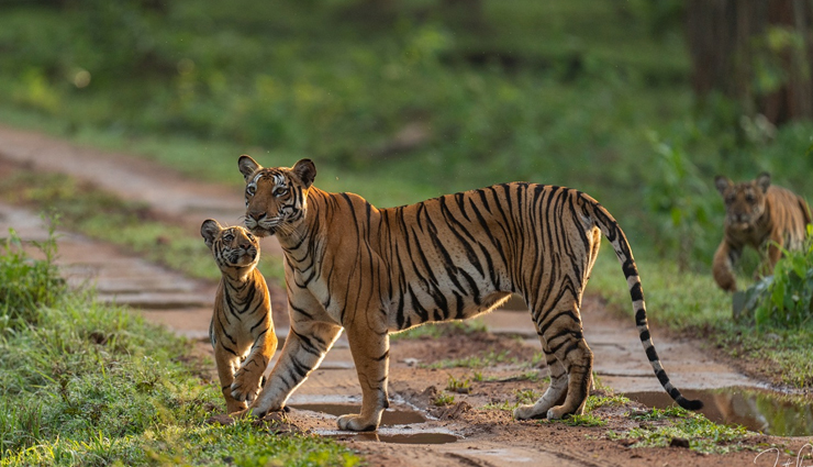 adventure activities in karnataka,best adventure sports in karnataka,things to do in karnataka,trekking in karnataka,water sports in karnataka,paragliding in karnataka,rock climbing in karnataka,wildlife safaris in karnataka,river rafting in karnataka,adventure tourism in karnataka