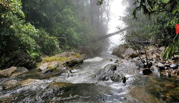 karnataka tourist attractions,must-visit places in karnataka,top destinations in karnataka,karnataka travel guide,best places to visit in karnataka,karnataka sightseeing spots,karnataka tourism highlights,famous attractions in karnataka,karnataka travel itinerary,karnataka bucket list destinations,karnataka travel experiences,karnataka tourist spots,unmissable places in karnataka,karnataka vacation spots,karnataka travel recommendations,karnataka holiday destinations,karnataka must-see places,karnataka travel tips,karnataka exploration guide,karnataka trip planner