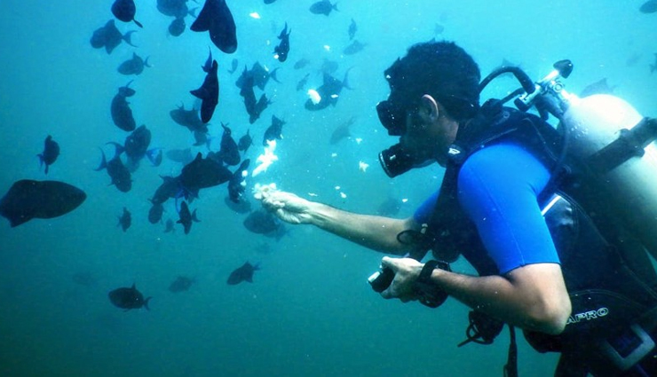 scuba diving spots in india,best diving locations in india,top scuba diving destinations india,scuba diving adventures in indian waters,india underwater treasures for diving,scuba diving experiences in indian seas,diving hotspots in indian oceans,scuba diving sites along indian coast,explore marine life in india,underwater wonders of indian seas