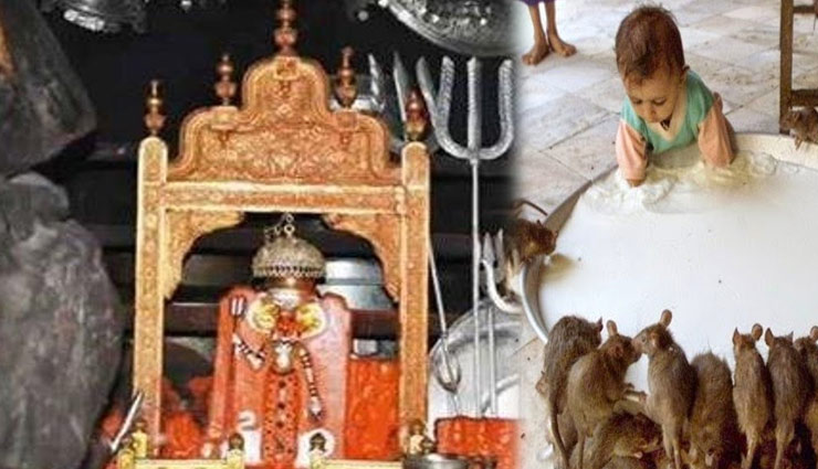 durga mata temple,famous temple,world famous temple,durga mata temple