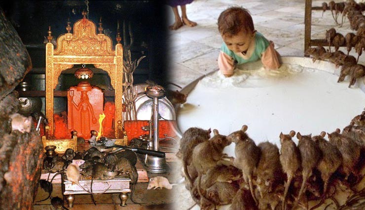 temples where shocking prashad given,weird story