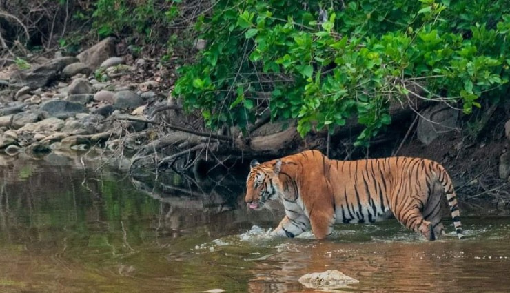 uttar pradesh tourist spots,sightseeing places in uttar pradesh,attractions in uttar pradesh,travel destinations in uttar pradesh,famous places in uttar pradesh,uttar pradesh tourism highlights,exploring uttar pradesh attractions,must-visit spots in uttar pradesh,uttar pradesh travel recommendations,landmarks of uttar pradesh,historical sites in uttar pradesh,uttar pradesh tourist attractions,cultural landmarks in uttar pradesh,top destinations in uttar pradesh,hidden gems in uttar pradesh,uttar pradesh travel guide,famous landmarks in uttar pradesh,offbeat places in uttar pradesh,uttar pradesh sightseeing guide,tourist hotspots in uttar pradesh