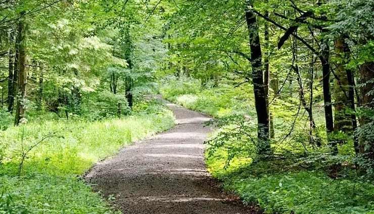 gilbert trail,sunset point,christ church,sunrise point,gurkha fort