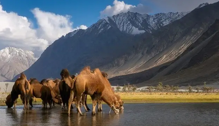 things to do in kashmir,must-do activities in kashmir,places to visit in kashmir,best time to visit kashmir,kashmir tourism,srinagar sightseeing,dal lake shikara ride,houseboat stay in kashmir,trekking in kashmir,gulmarg skiing,sonamarg camping,pahalgam adventure sports,mughal gardens visit,shopping in kashmir,kashmiri cuisine,kashmiri culture and traditions,kashmiri handicrafts,kashmiri shawls and pashminas,kashmiri saffron fields,kashmiri tea and kahwa