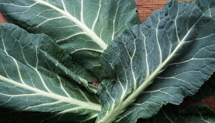 seasonal vegetable,seasonal vegetable for good health,Health,healthy vegetable,Health tips,healthy living