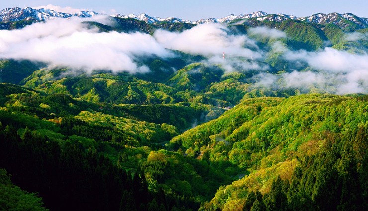 india,places to visit in india,tourist friendly destination in india,attractions in india,india tourism,tourist places in india