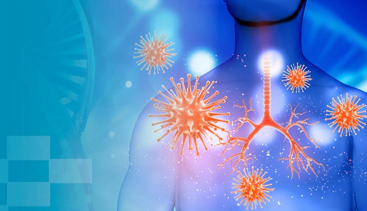 kathal,health benefits of kathal,Health tips,fitness tips