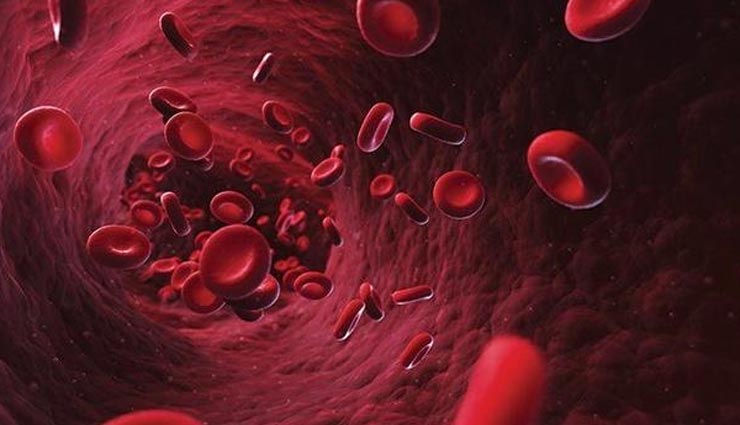 kathal,health benefits of kathal,Health tips,fitness tips