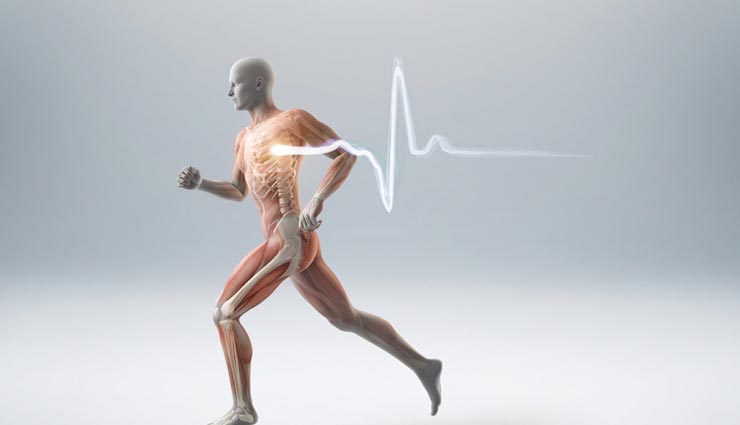 kathal,health benefits of kathal,Health tips,fitness tips