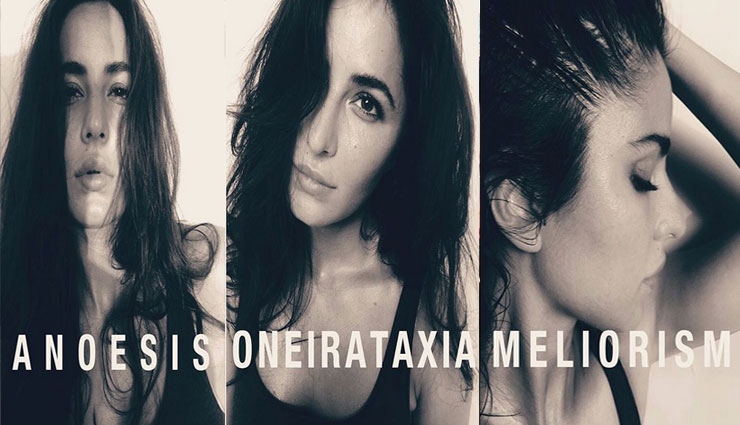 katrina kaif,katrina kaif instagram pics,tiger zinda hai,bollywood news,bollywood gossips