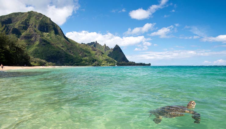 kauai island,st lucia island,capri island,whitsunday island,st barts,5 islands that are beautiful than your imagination,most beautiful islands in the world,around the world,islands