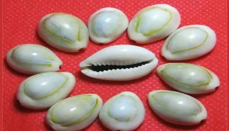 नवरात्रि स्पेशल : इन उपायों को कर धन-धान्य से भरे अपनी झोली, पाएं मातारानी का आशीर्वाद astrology tips,astrology tips in hindi,navratri special,navratri 2021