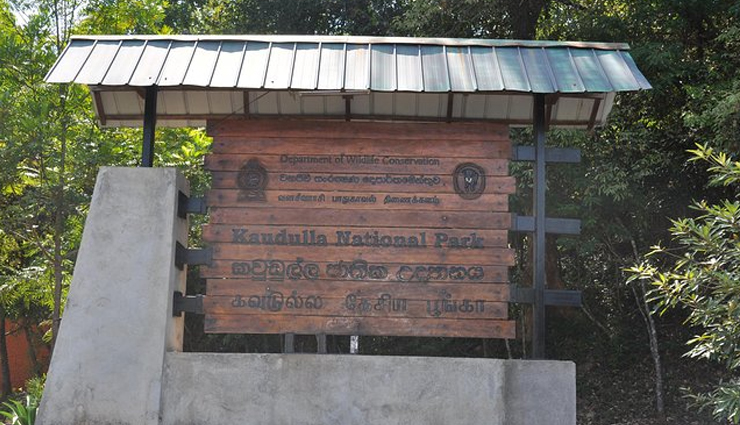 wildlife sanctuaries sri lanka,best wildlife encounters sri lanka,wilderness of wildlife exploration,sri lanka wildlife adventures,sanctuary wildlife experiences,top wildlife spots in sri lanka,encountering wilderness in sri lanka,explore sri lanka wildlife sanctuaries,sri lanka diverse wildlife encounters,wildlife conservation in sri lanka