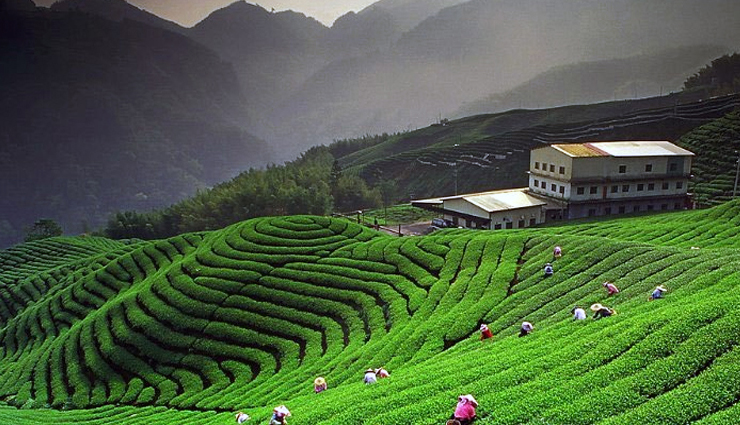 uttarakhand,hill stations in uttarakhand,most beautiful hill stations in uttarakhand,uttarakhand travel,uttarakhand tourism,tourist destinations in uttarakhand