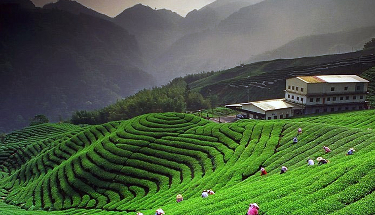 uttarakhand tourist attractions,best places to visit in uttarakhand,must-see spots in uttarakhand,explore uttarakhand destinations,top attractions in uttarakhand,famous landmarks in uttarakhand,uttarakhand travel guide,uttarakhand points of interest,unmissable places in uttarakhand,uttarakhand sightseeing places,uttarakhand hill stations,uttarakhand trekking spots,rishikesh tourist attractions,nainital must-see places,dehradun famous landmarks,jim corbett national park attractions,haridwar spiritual destinations,mussoorie viewpoints,auli adventure activities,valley of flowers uttarakhand,kedarnath pilgrimage sites,badrinath religious landmarks,uttarakhand natural beauty,tehri dam viewpoints,almora cultural heritage,उत्तराखंड पर्यटन स्थल,उत्तराखंड के प्रमुख स्थान,उत्तराखंड की धार्मिक स्थलें,उत्तराखंड का प्रसिद्ध धरोहर,उत्तराखंड के दर्शनीय स्थल,उत्तराखंड के प्राकृतिक सौंदर्य,उत्तराखंड यात्रा गाइड,उत्तराखंड के खास बाजार,उत्तराखंड की यात्रा संदेश,उत्तराखंड के पर्वतीय स्थल